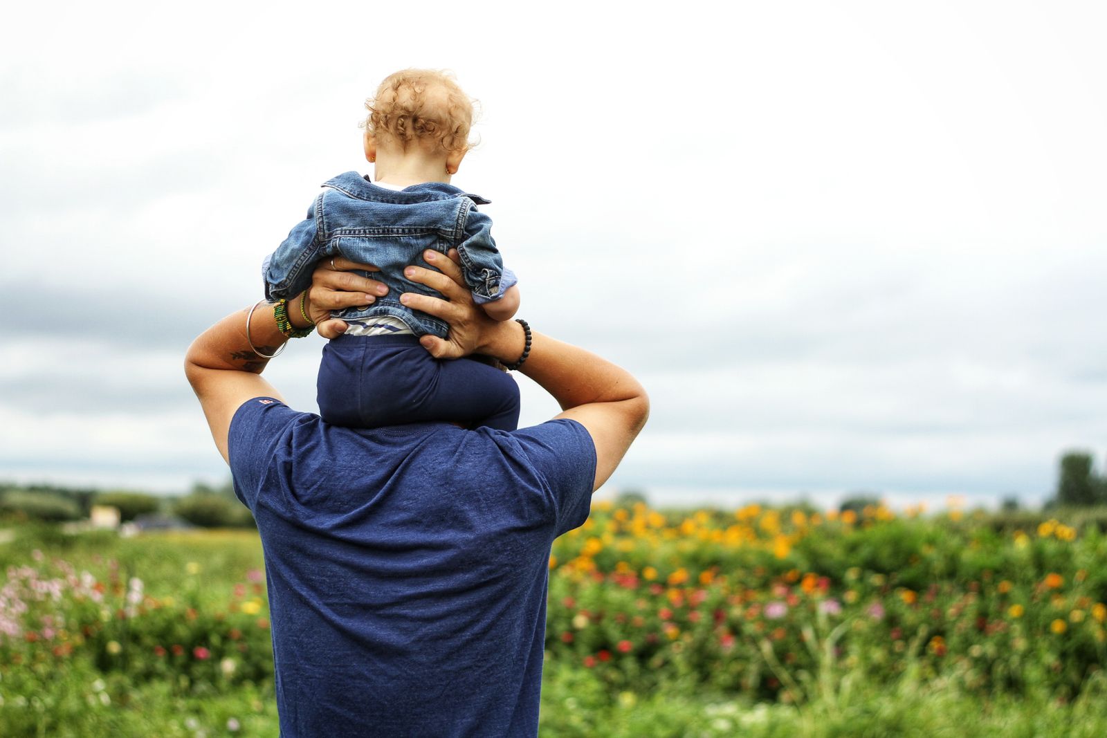 Father carrying a toddler on his shoulders in a wildflower field